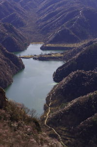 High angle view of river amidst trees