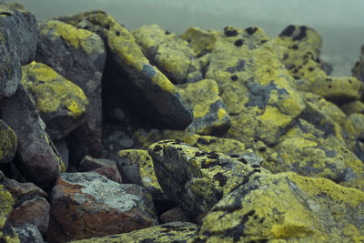 Big stones covered with moss landscape photo