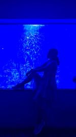Rear view of woman looking at aquarium
