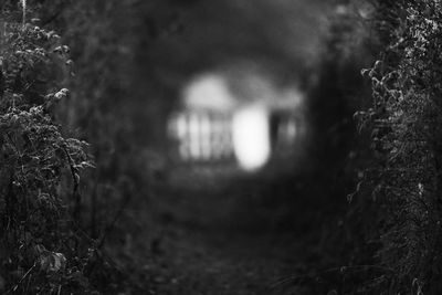 Close up of sunlight