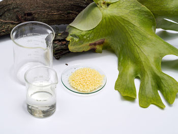 High angle view of drinks on table