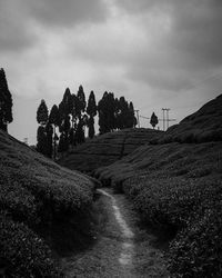 Dirt road passing through field against cloudy sky