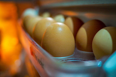 Close-up of eggs in container
