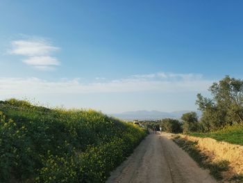 Road amidst field against sky