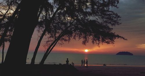 Silhouette trees on beach against sky during sunset
