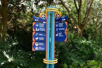 Low angle view of information sign against trees in forest