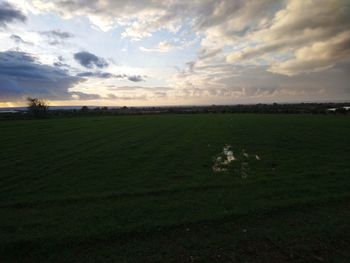 Scenic view of field against sky during sunset