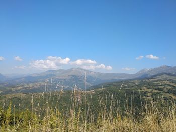 Scenic view of landscape against blue sky