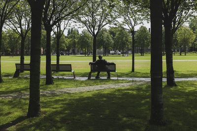 Empty bench in park