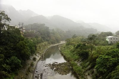 Scenic view of river amidst trees against sky