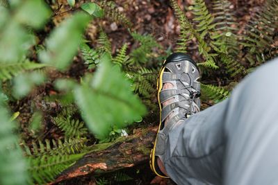 Low section of man on field in forest