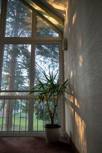 window
