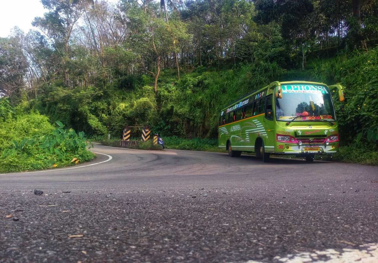 ROAD BY TREES AND PLANTS IN CITY