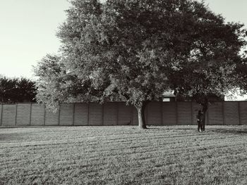 Full length of woman standing on tree trunk