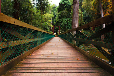 Man walking on footbridge in forest