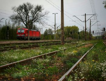 Railroad tracks on grassy field