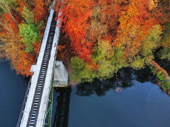 Reflection of trees in lake during autumn