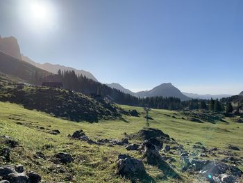 Scenic view of landscape against clear sky