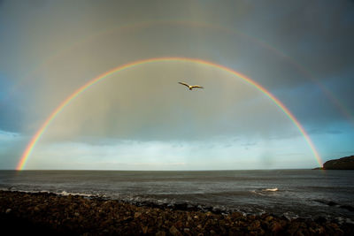 Scenic view of rainbow over sea against sky