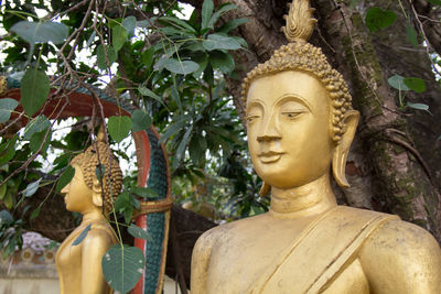 Statue of buddha against trees