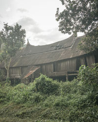 Plants growing on abandoned building