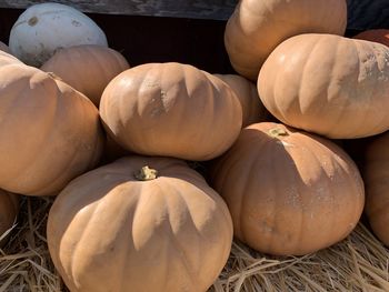 Full frame shot of pumpkins for sale at market stall