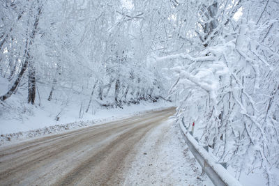 Snow covered road