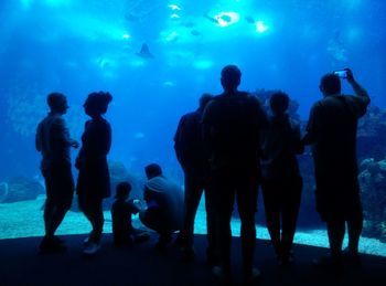 Silhouette people at aquarium