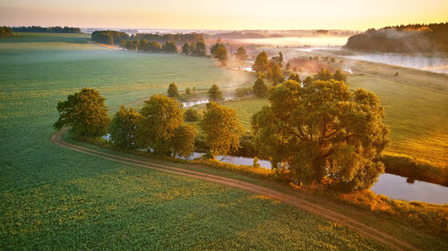 Sunny summer calm morning panorama. river, fog sunrise aerial view. sunrays over green meadow, field