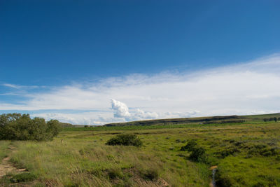 Scenic view of landscape against sky