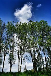 Low angle view of trees against cloudy sky