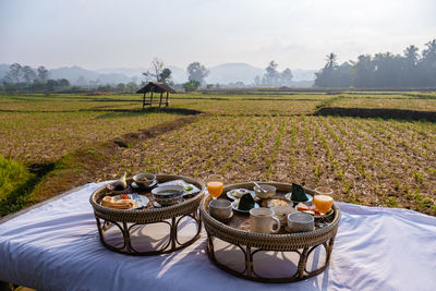 Scenic view of agricultural field against sky