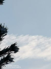 Low angle view of silhouette building against sky