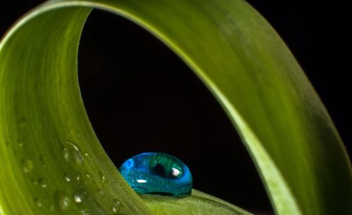 Close-up of water