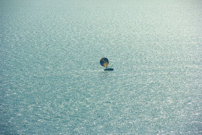 High angle view of duck swimming in sea