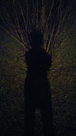 Rear view of silhouette cat on field at night