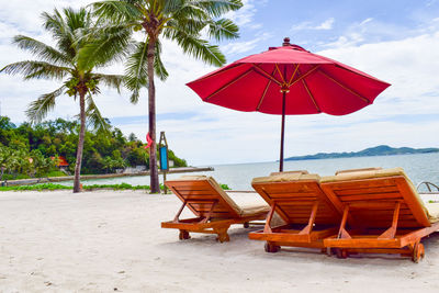 Sunbeds on white sand beach with coconut tree beach views