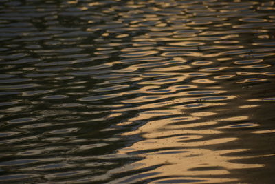 High angle view of rippled water