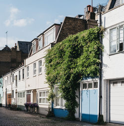 Row of typical mews houses in london, uk, partially covered by climber plant, selective focus.