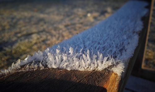 Close-up of snow