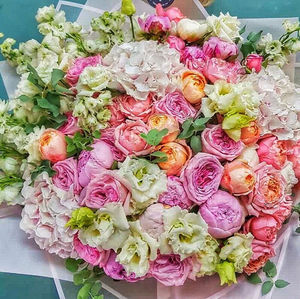 High angle view of multi colored roses on plant