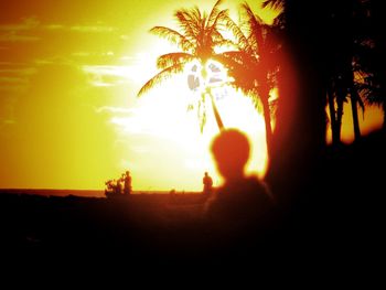 Silhouette of trees at sunset