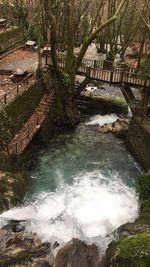 Scenic view of river in forest