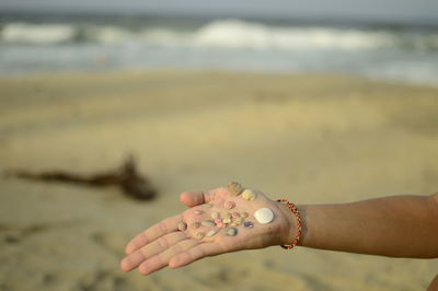 Cropped image of hand holding sea