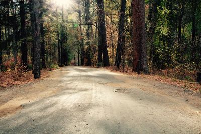 Road amidst trees in forest
