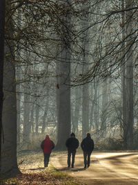 Rear view of people in forest during winter