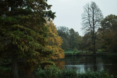 Scenic view of river in forest against sky