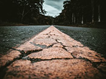 Surface level of road amidst trees