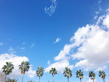 Low angle view of trees against blue sky