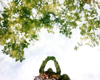 Low angle view of tree against sky